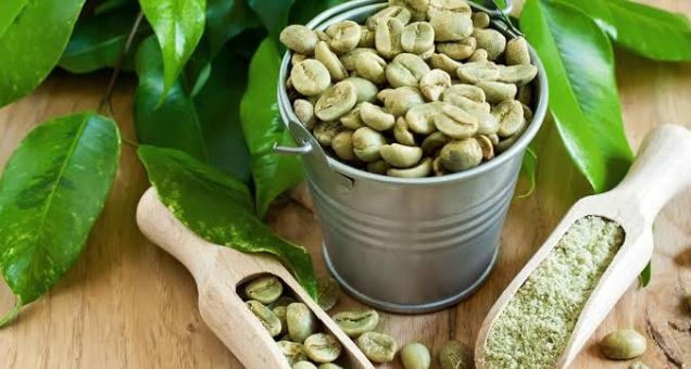 القهوة الخضراء القهوة الخضراء