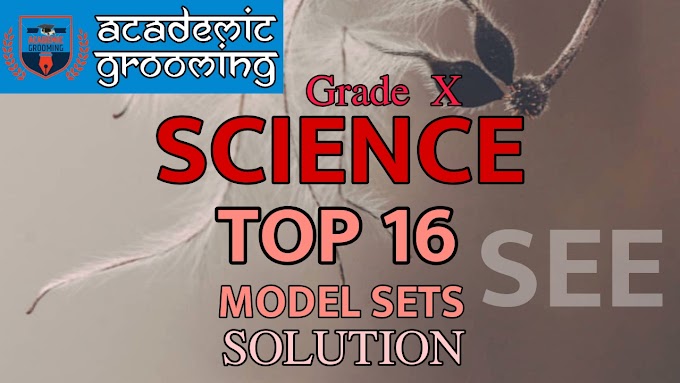 Class 10 - Science || Top 16 Model Set Solutions