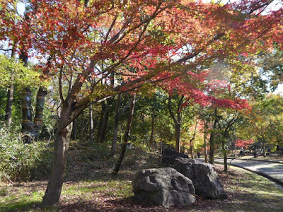 【大阪府枚方市】山田池公園・秋の紅葉ウォーキング