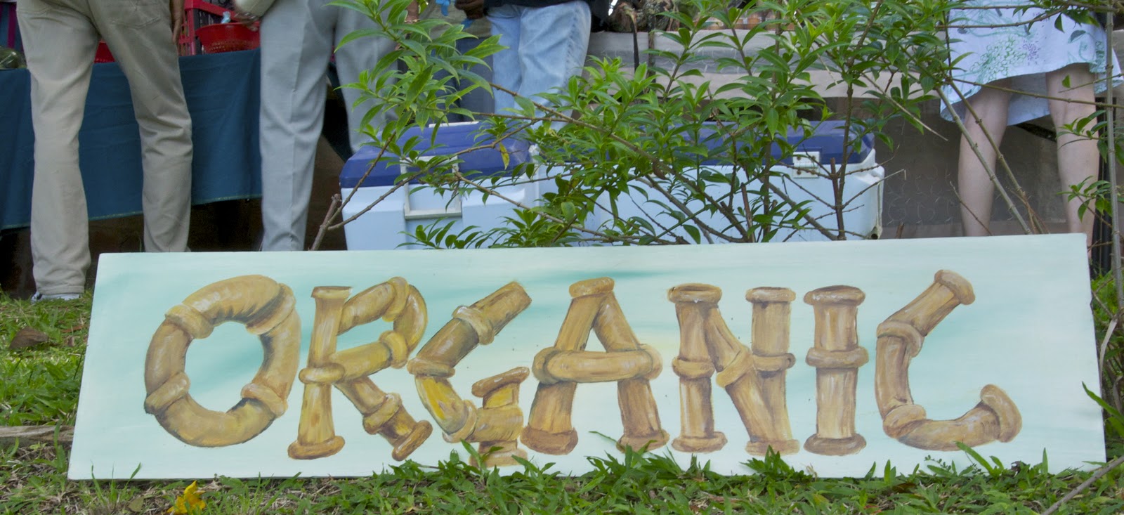 Loop Barbados A Market to Visit! Holders Farmers Market