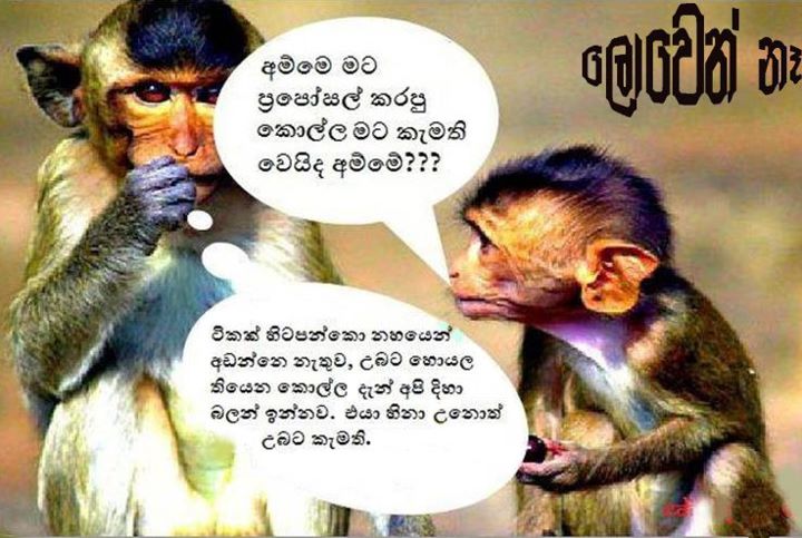 sinhala jokes photo download sinhala jokes photo download