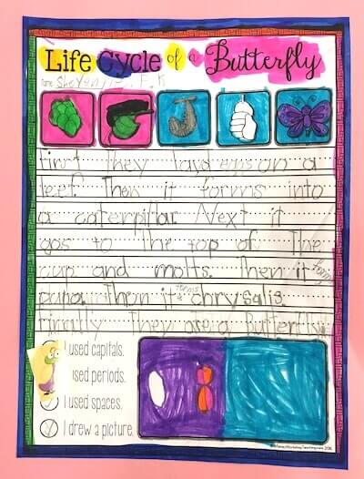 5 points about butterfly picture