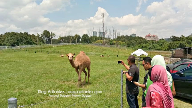 House of Kambing, MAEPS Serdang ::: Sangat Sedap !!!