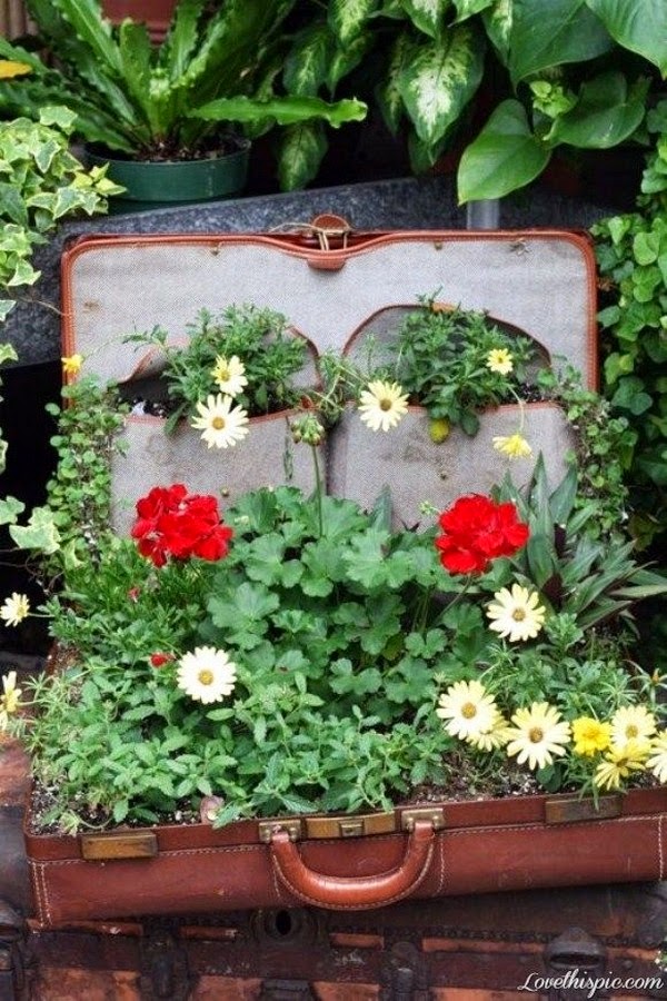 Creative ideas for beautifying the garden
