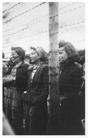 Female prisoners at Mauthausen during World War II worldwartwo.filminspector.com