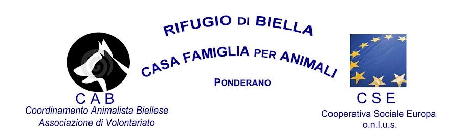 Rifugio Animali Biella