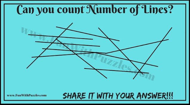 Visual Puzzles: Picture Puzzles and Answers for Adults