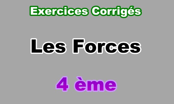 Exercices Corriges De Forces Et Le Principe D Inertie Seconde Pdf