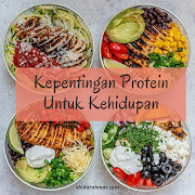 Kepentingan Protein Untuk Kehidupan