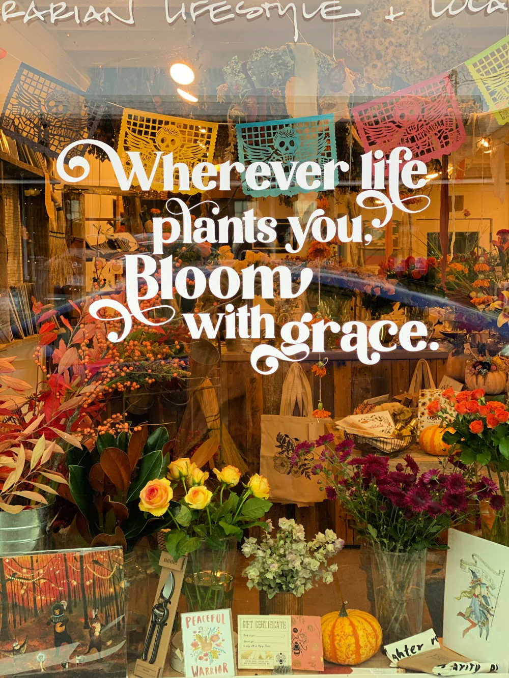 Everything You Need to Know Before you Visit Whidbey Island, WA