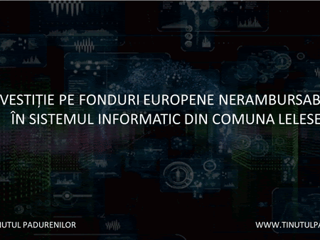 Dotari in sistemul informatic la Lelese