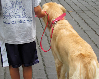 Leather Leash and Collar by DogID Review 