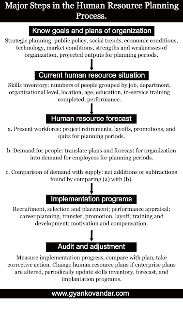 Human Resource Planning Process