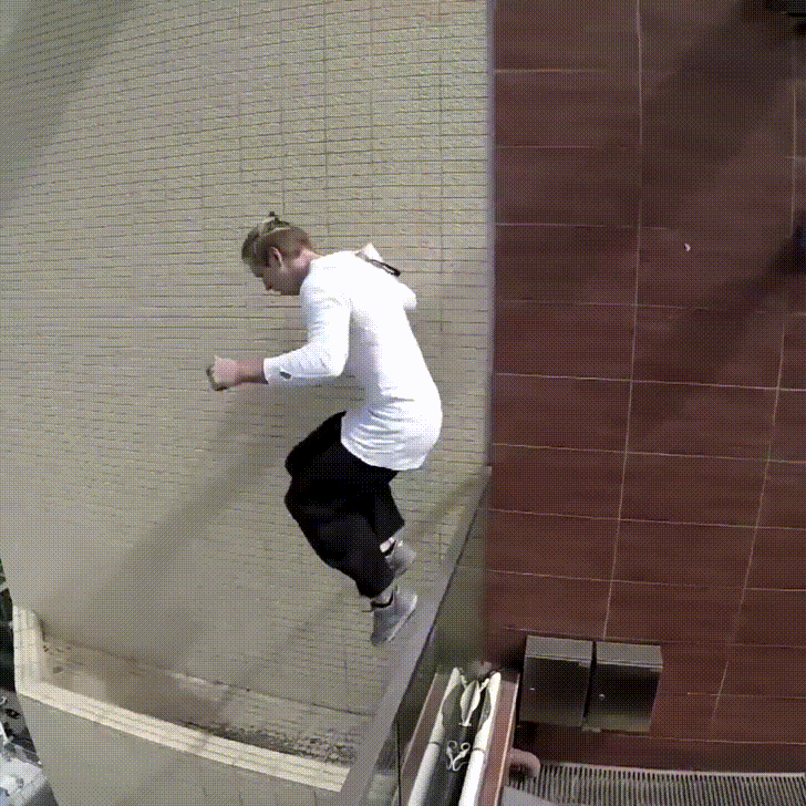 44DogDP.gif