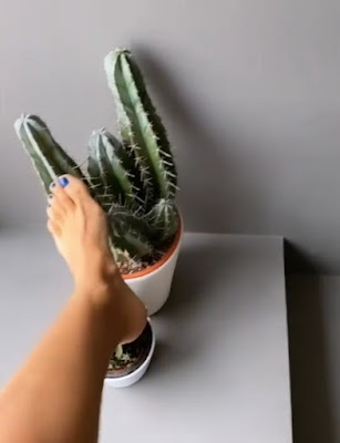 Caterina Balivo piede si punge con il cactus foto