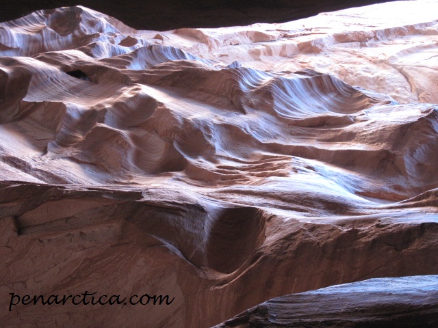 Psychische Storung Flashcards Quizlet