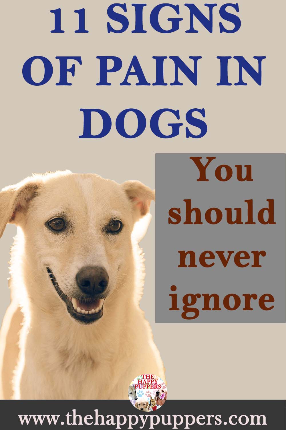 share this whatsapp by shruti bhattacharya about shruti bhattacharya hi