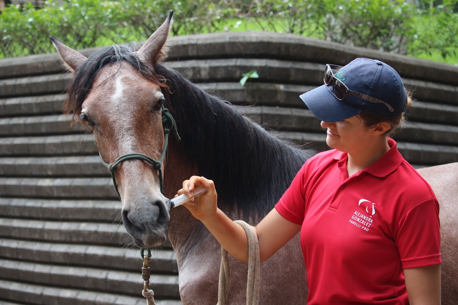 Getting Ready for Deworming