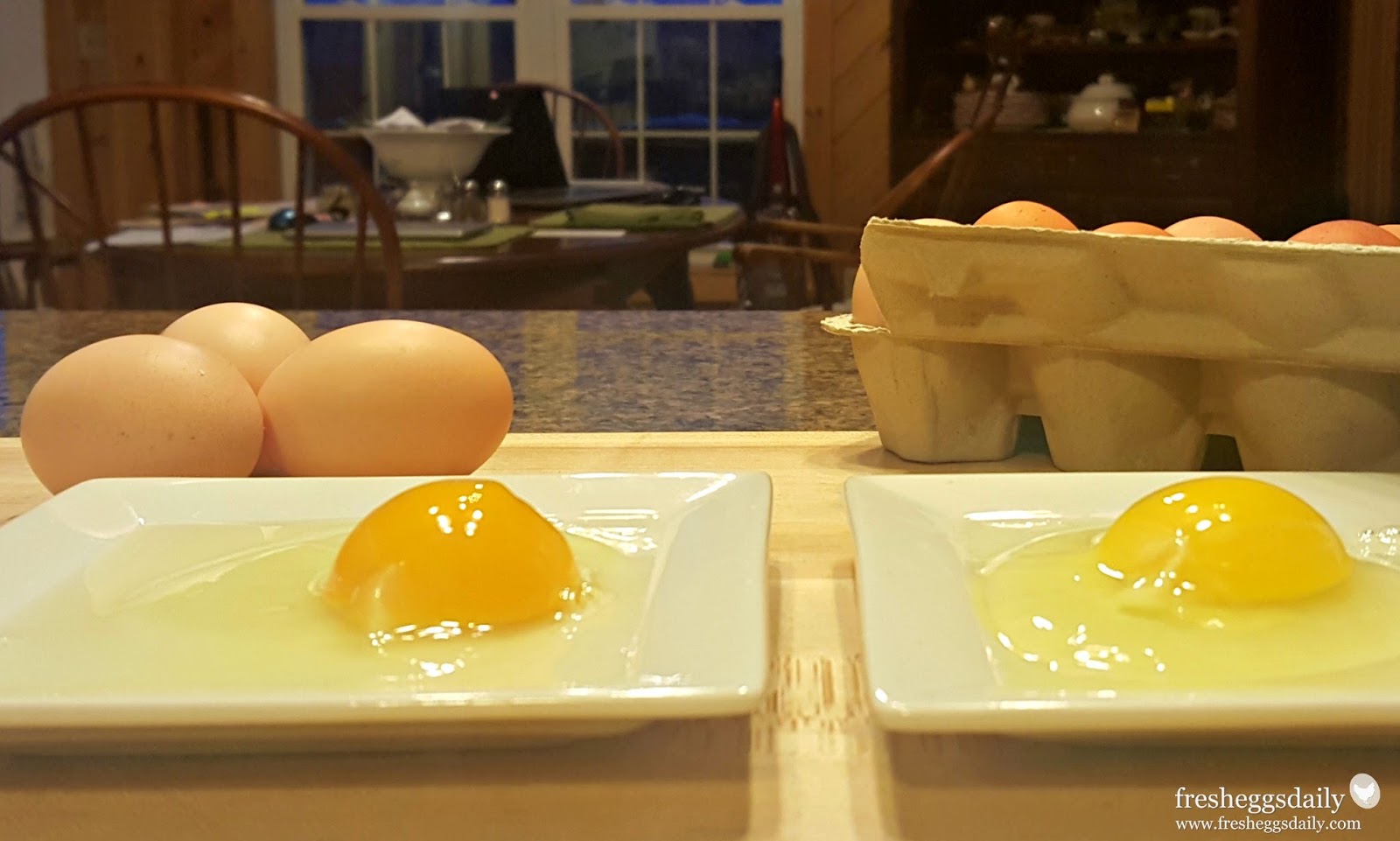 Are Fresh Eggs Really Better? Fresh Eggs Daily® with Lisa Steele