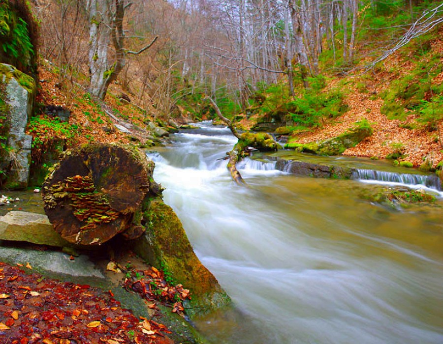 Top 35 Beautiful And Fabulous Paths Wallpapers In HD