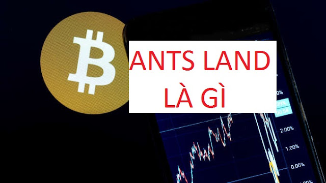 ants land la gi