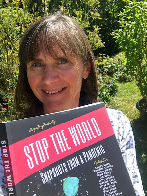 French Village Diaries Stop the World: Snapshots from a Pandemic anthology