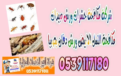شركة مكافحة حشرات بصبيا شركة رش مبيدات بصبيا, شركة رش دفان بصبيا, شركة مكافحة النمل الابيض بصبيا