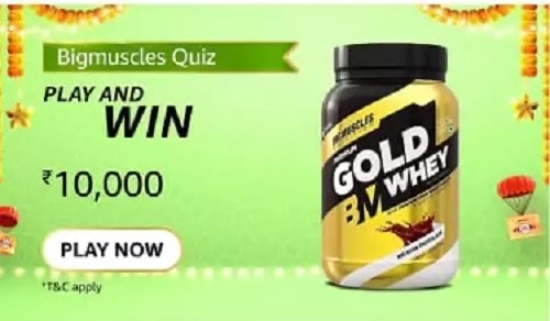 How many flavours are available in the Big Muscles Nutrition Premium Gold Whey?