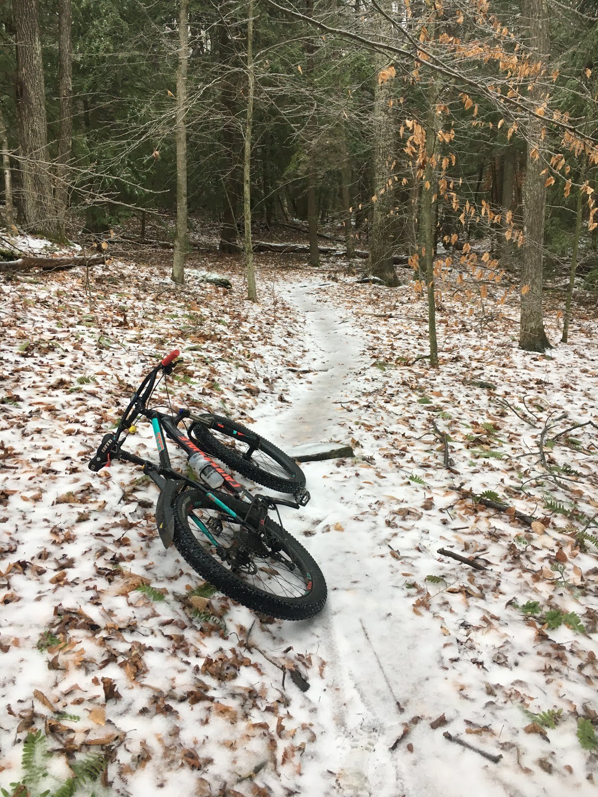 Cyclesnack: Ruh roh Shaggy, rots of ruts