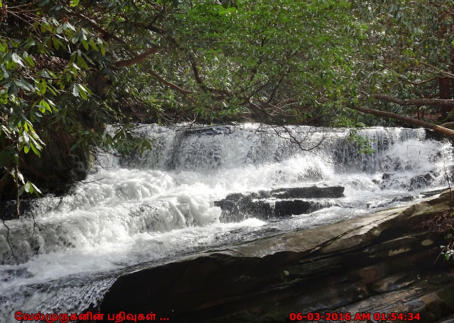 Mini Falls in Panther Creek Trail