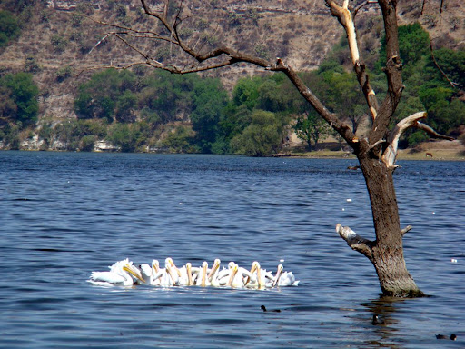 La Teotlalpan: Historia, arqueológica, poblaciones y cartografía.