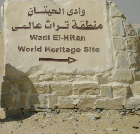 وادي الحيتان - حياة بحرية في قلب الصحراء