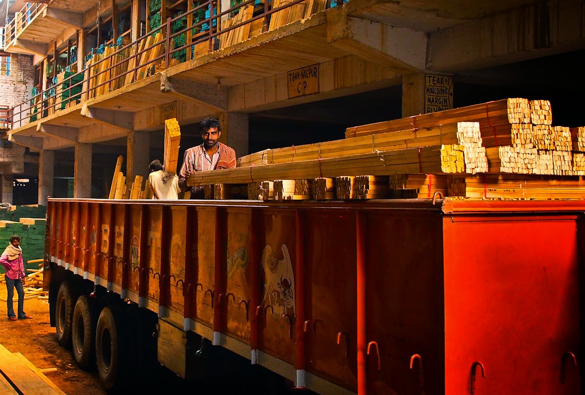 Wood Delhi’s Vast Timber Market