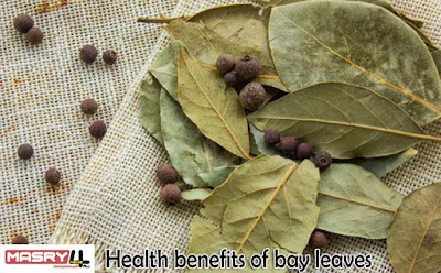 أهم 8 فوائد لأوراق الغار (ورق اللورا) Health benefits of bay leaves