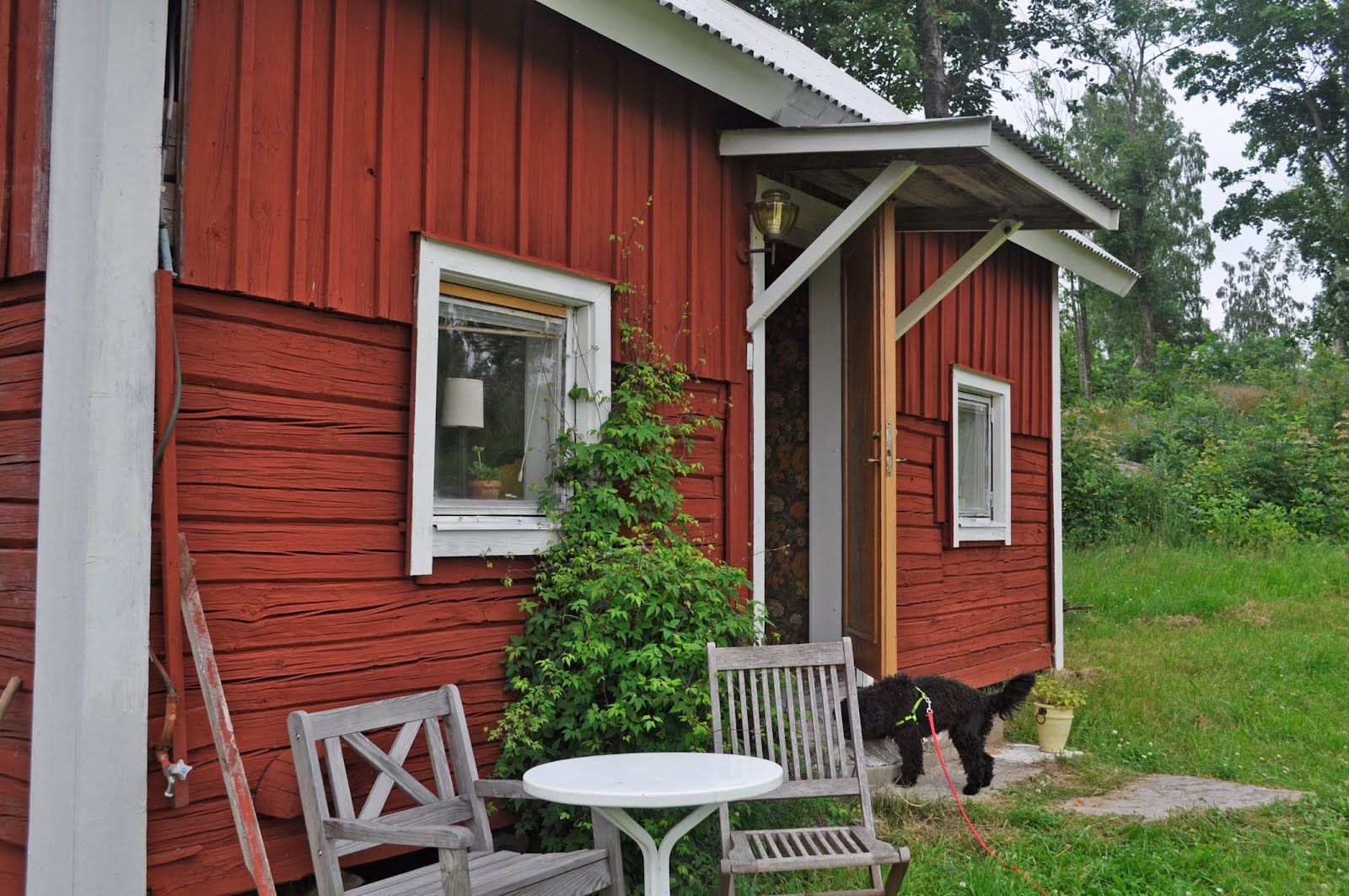 Sinnenas gård: SINNENAS GÅRD i bilder