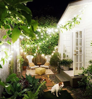Know it better before you buy it.: Ideas4Landscaping