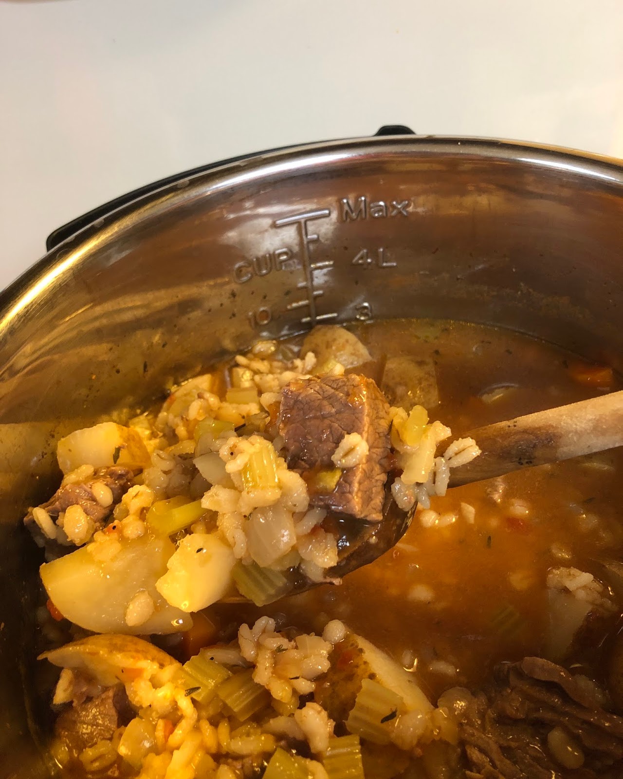 Beth Fish Reads Weekend Cooking The StepbyStep Instant Pot Cookbook