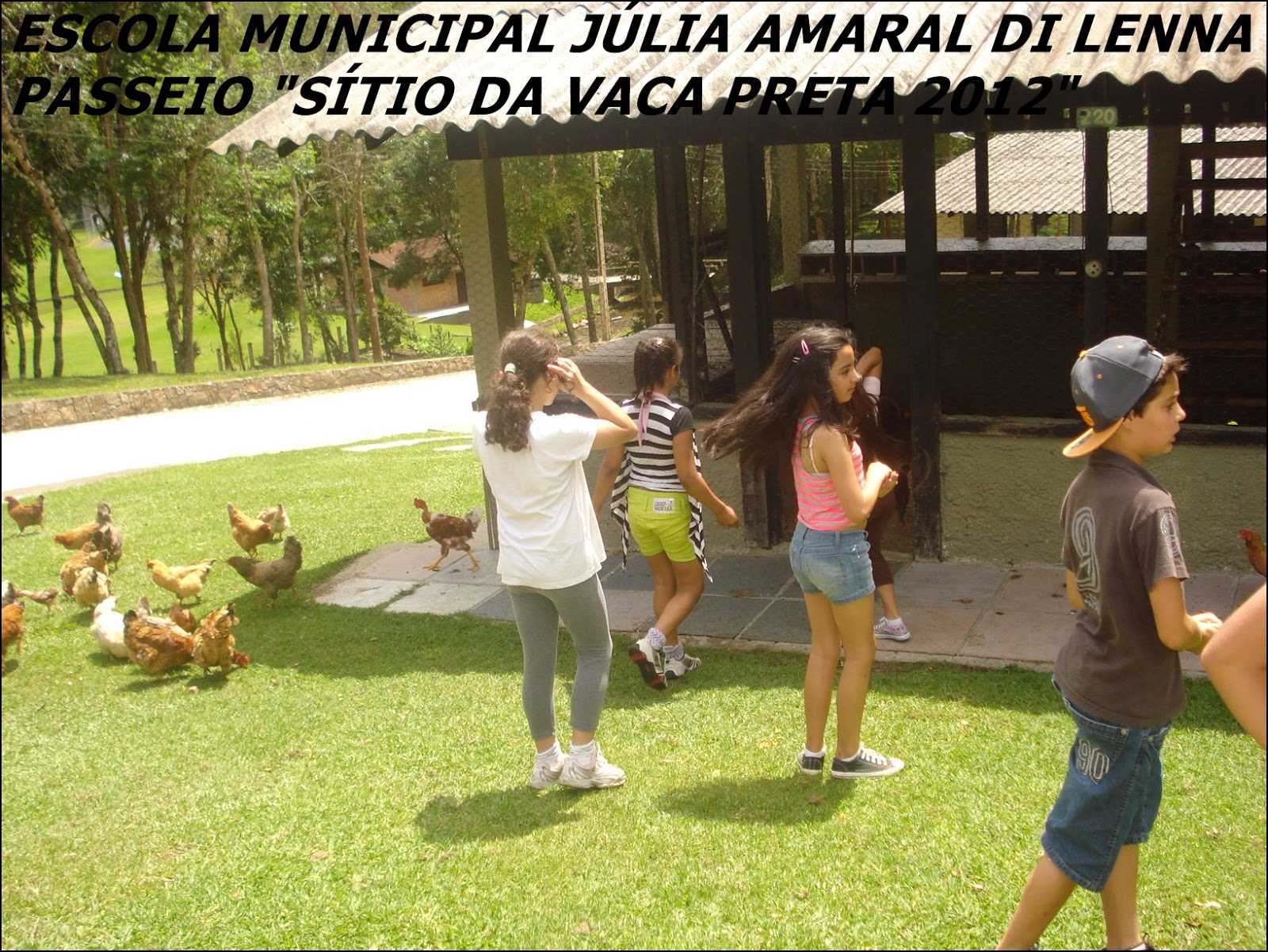 ESCOLA MUNICIPAL JULIA AMARAL DI LENNA Sítio da Vaca Preta!!!