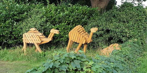 Camels in the Churchyard