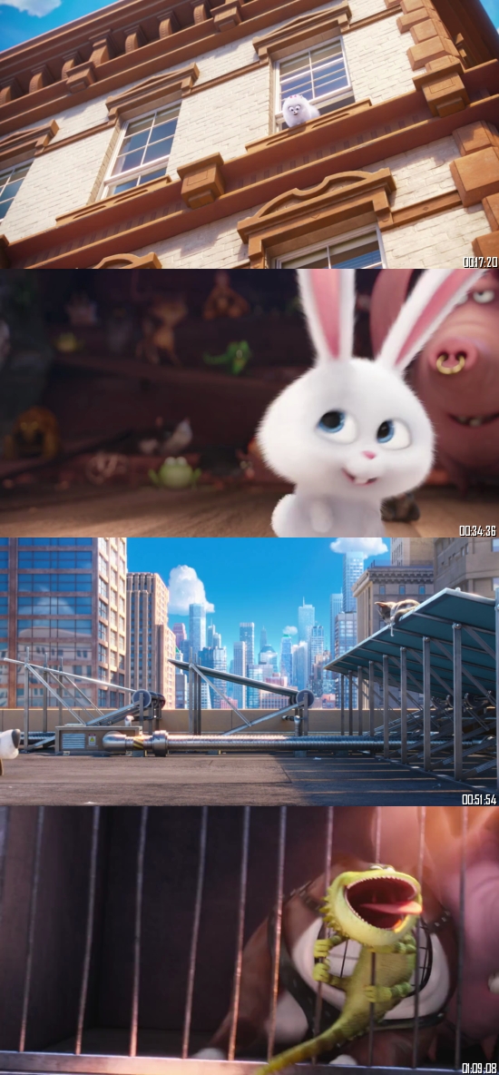 The Secret Life Of Pets 2016 BRRip 720p 480p Dual Audio Hindi English Full Movie Download