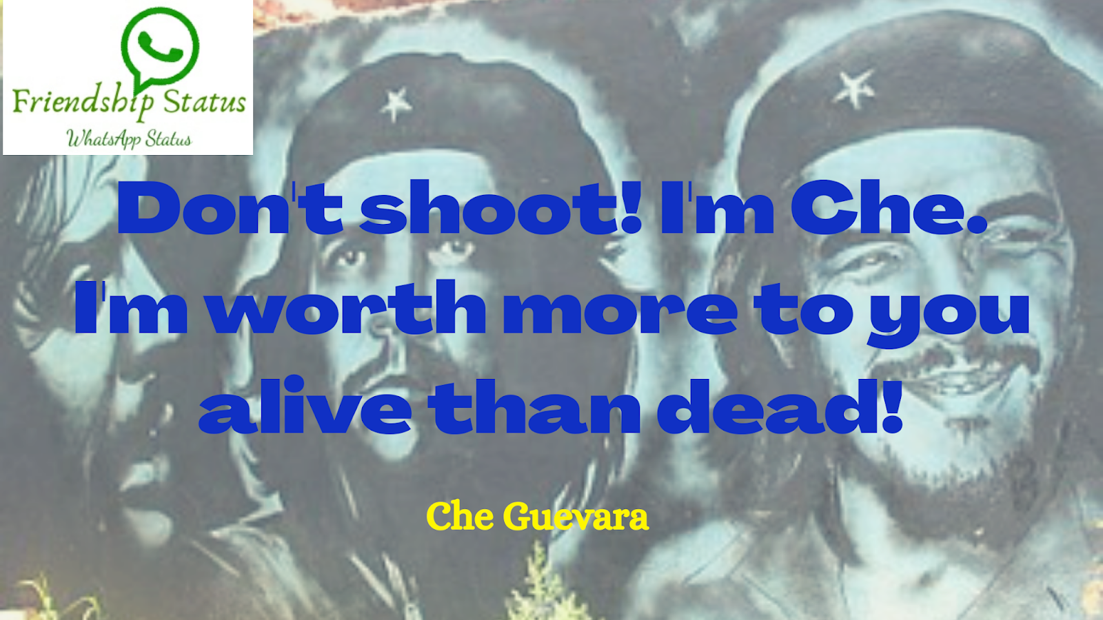 Best 25+ Most Inspirational Che Guevara Quotes