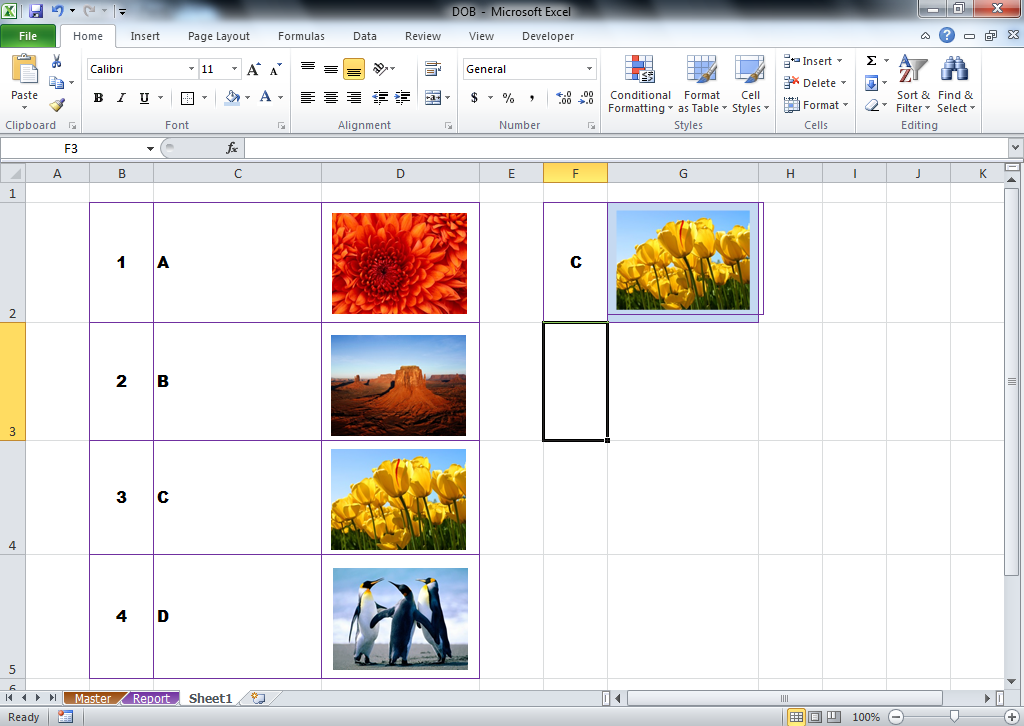 Picture Lookup Excel Function For Show Photo From Excel Database Using