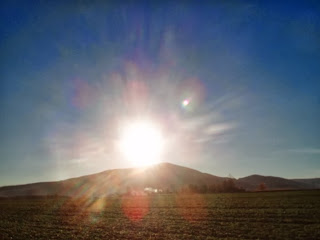 Bukowy Las: Limes Saxoniae