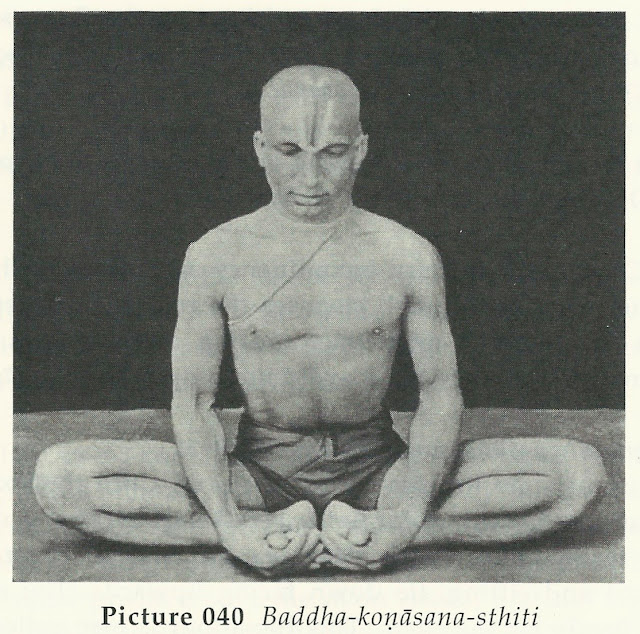 Jill Ainsworth: Ashtanga Vinyasa Yoga Sivananda and Meditation