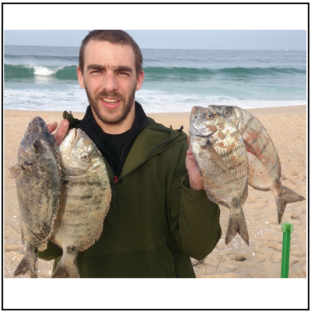 Sargos ao Surfcasting