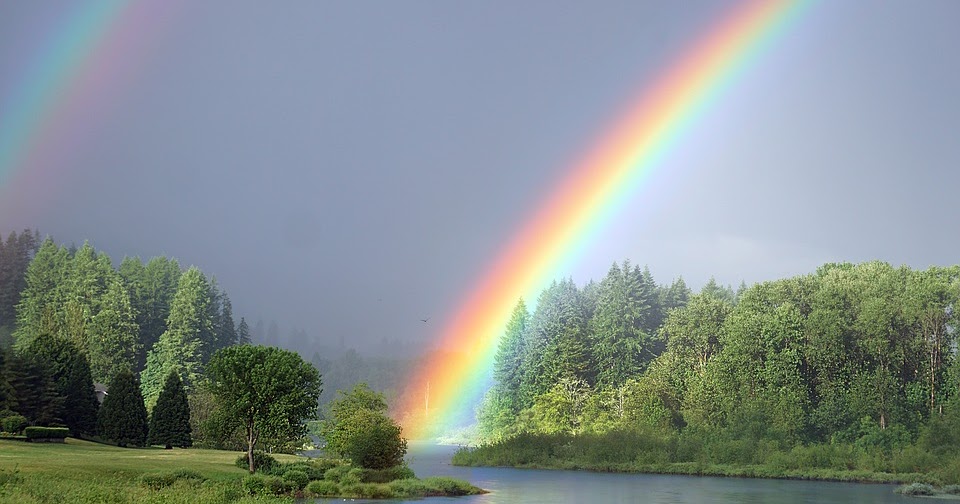Pengertian Dan Contoh Teks Deskripsi Pelangi Tugas Sekolah