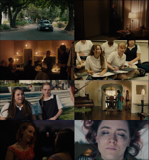 Lady Bird 2017 Dual Audio 720p BluRay