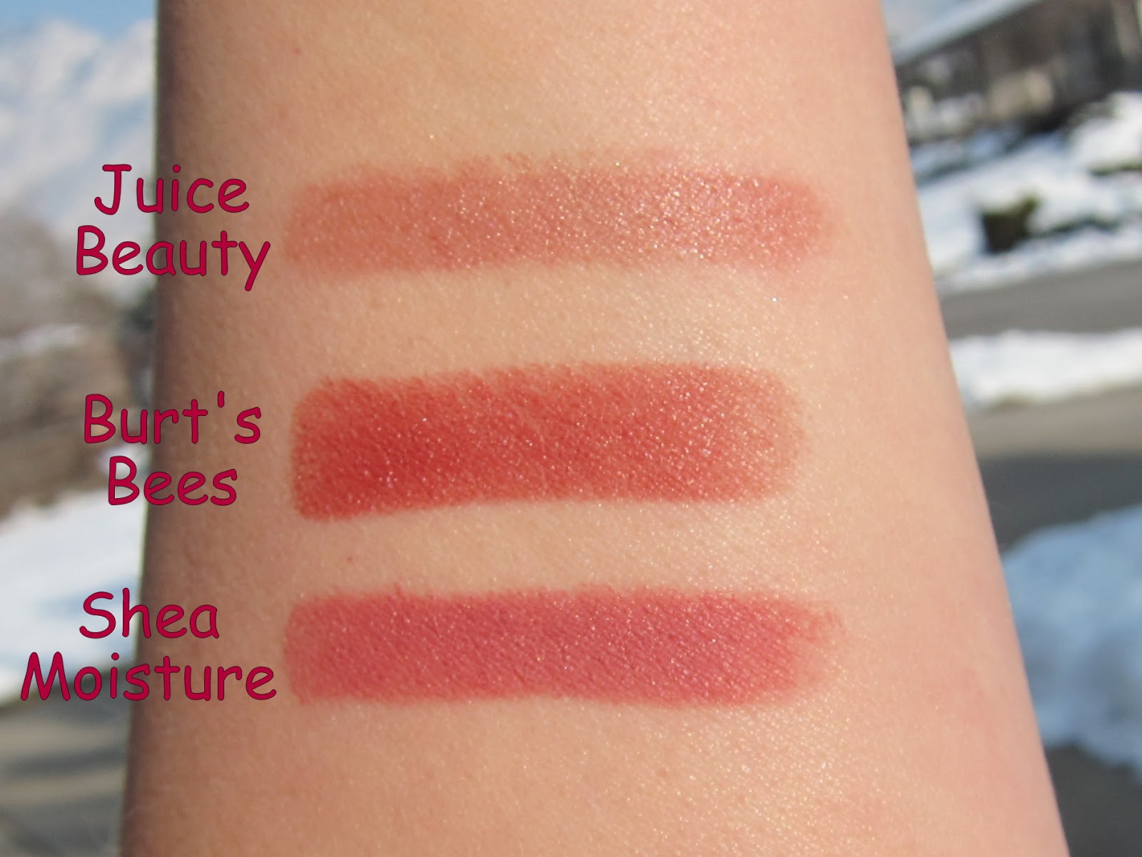 Bluntly Reviewed Natural Lip Crayons Juice Beauty vs Burt's Bees vs