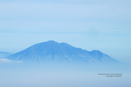 Pendakian Gunung Arjuno 3.339 mdpl via Tretes