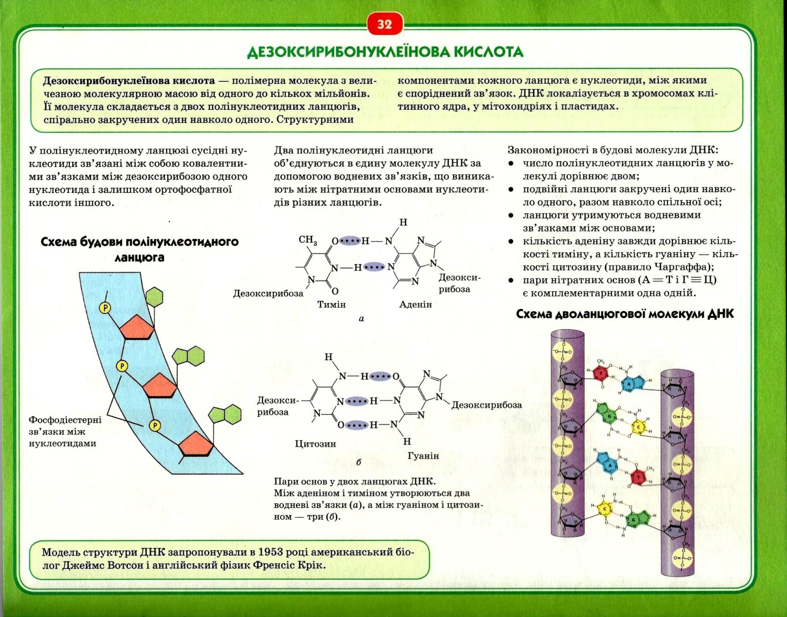 дезоксирибонуклеиновая кислота днк. днк системы. молекулярные ножницы crispr/cas9. днк системы. молекула днк.